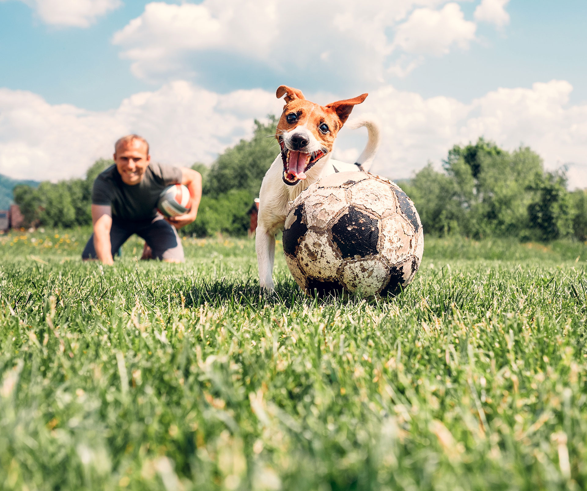 4 Activities Your Dog Will Love