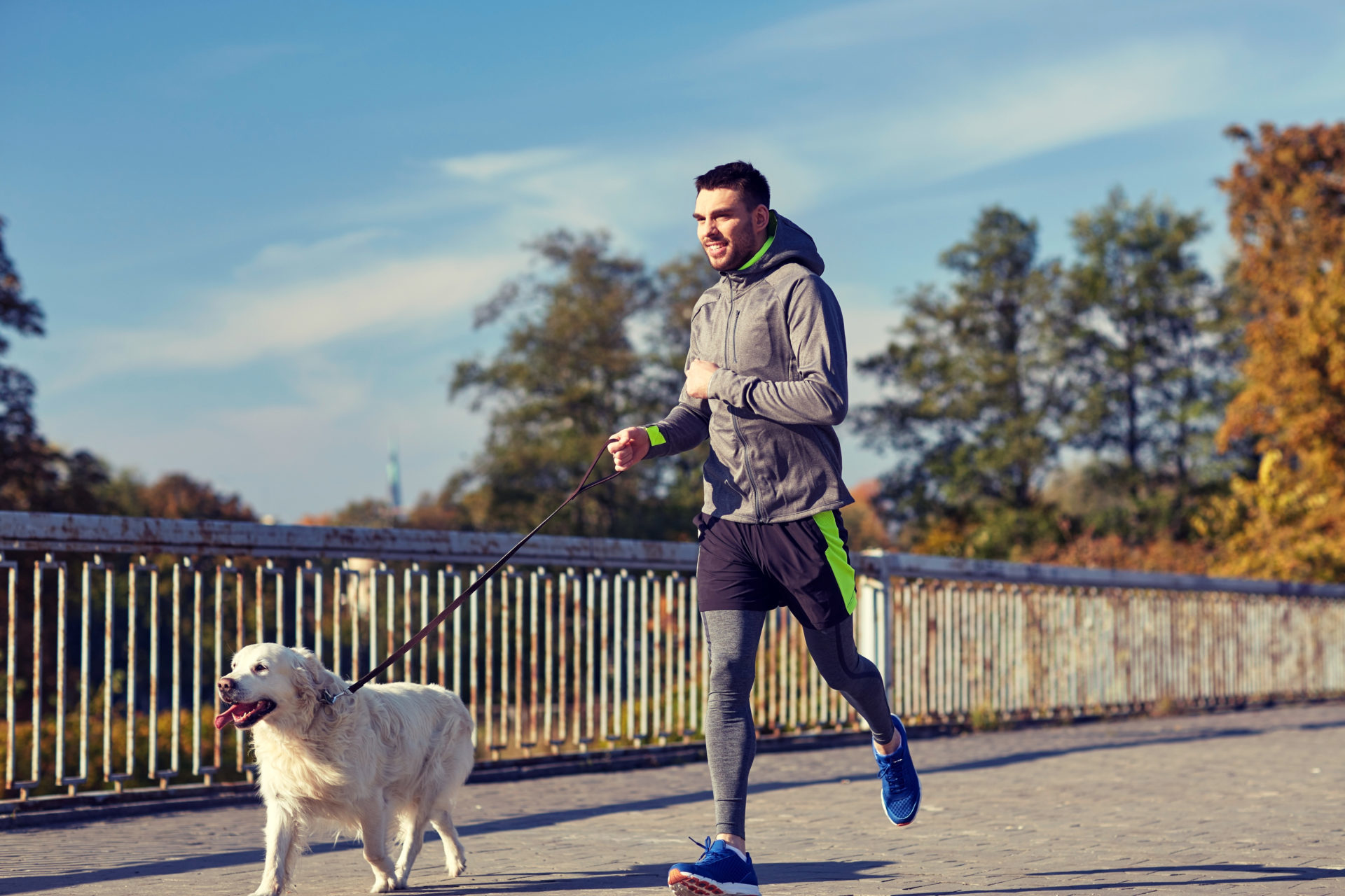 what dog breeds make good running partners