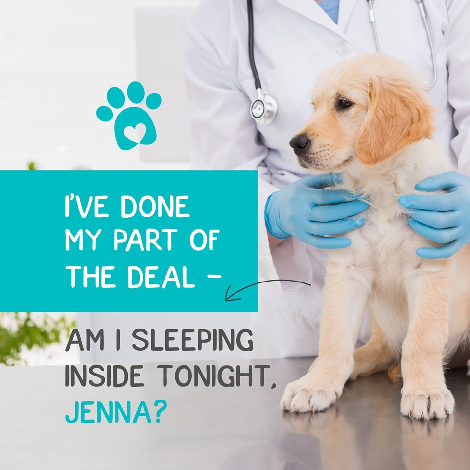 Get paid for vet visits and routine care before you see the vet of your choice.